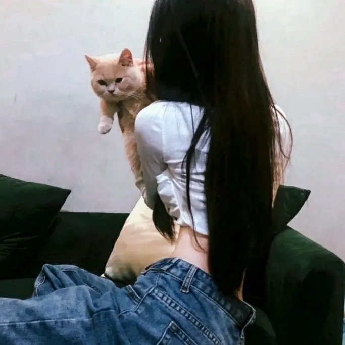 少女大盗 封面